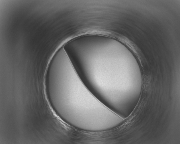 X0000084561048200702230956