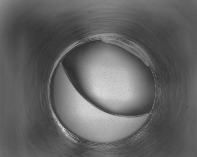 X0000084561050200702230956
