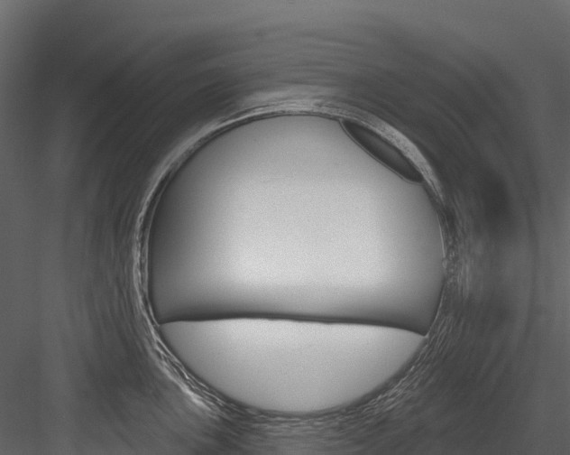 X0000084561051200702230956