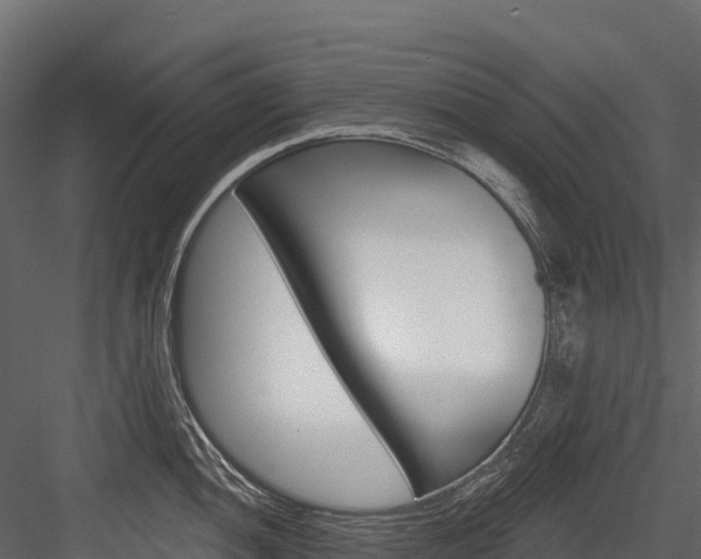 X0000084561052200702230956