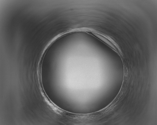 X0000084561054200702230956