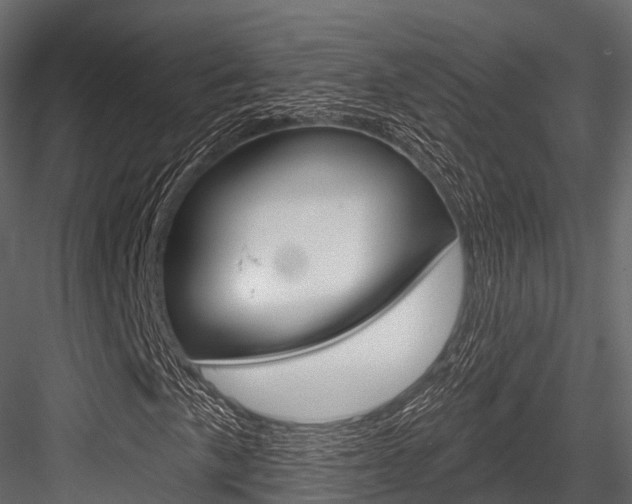 X0000084561057200702230956