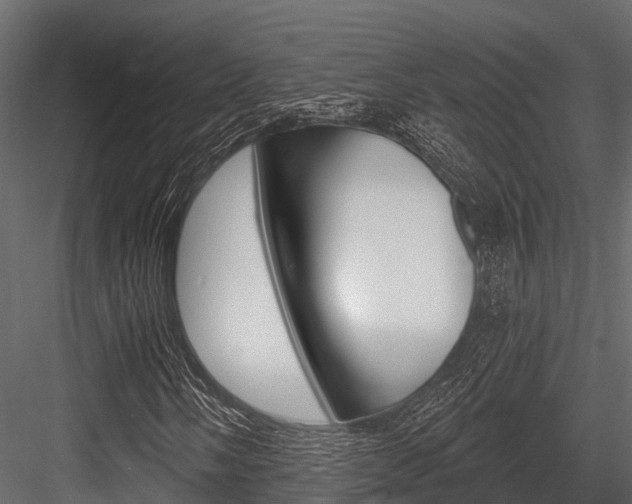 X0000084561058200702230956
