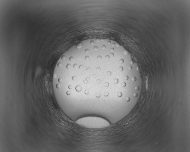 X0000084561059200702230956