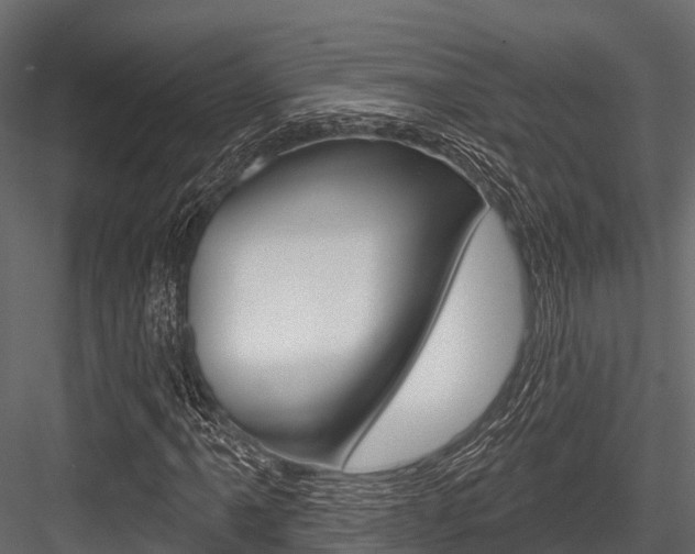 X0000084561061200702230955