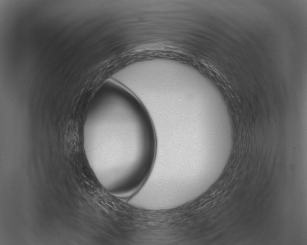X0000084561062200702230955