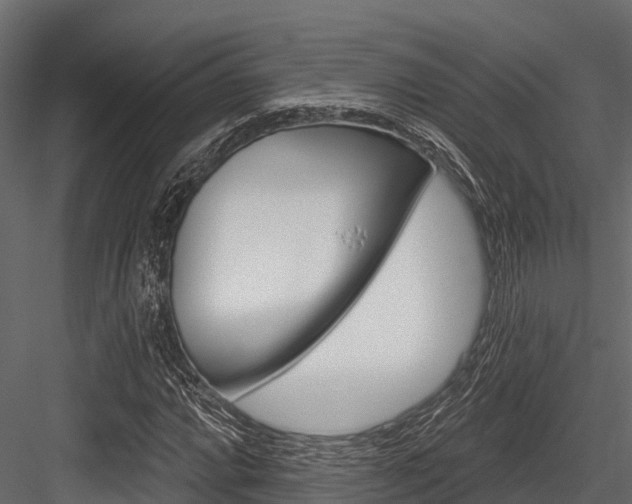 X0000084561064200702230955