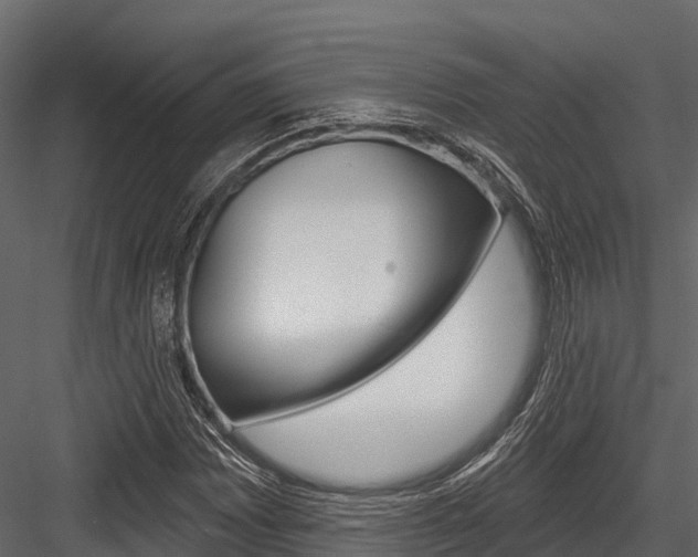 X0000084561065200702230955
