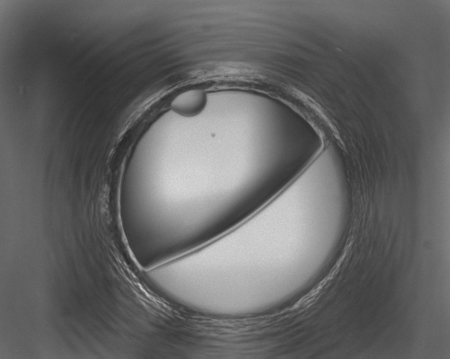 X0000084561066200702230955
