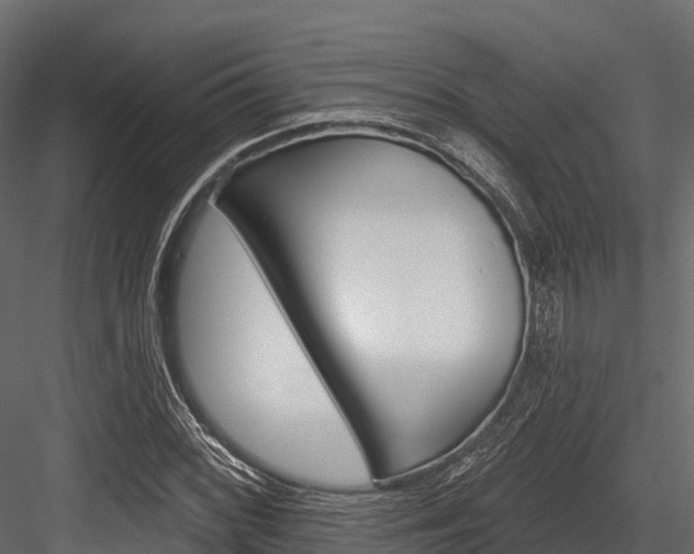 X0000084561068200702230955