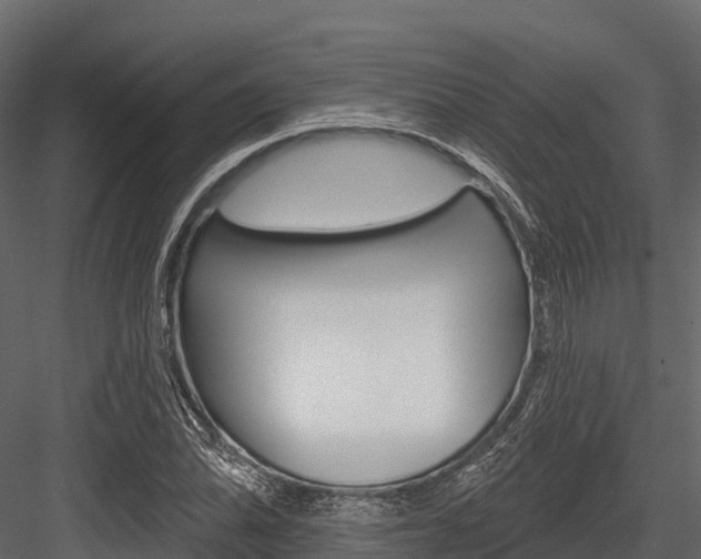 X0000084561070200702230955