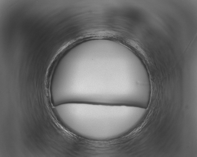 X0000084561071200702230955