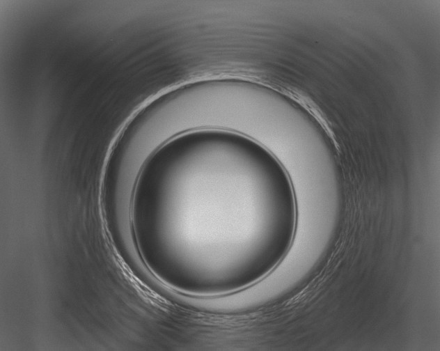 X0000084561072200702230955