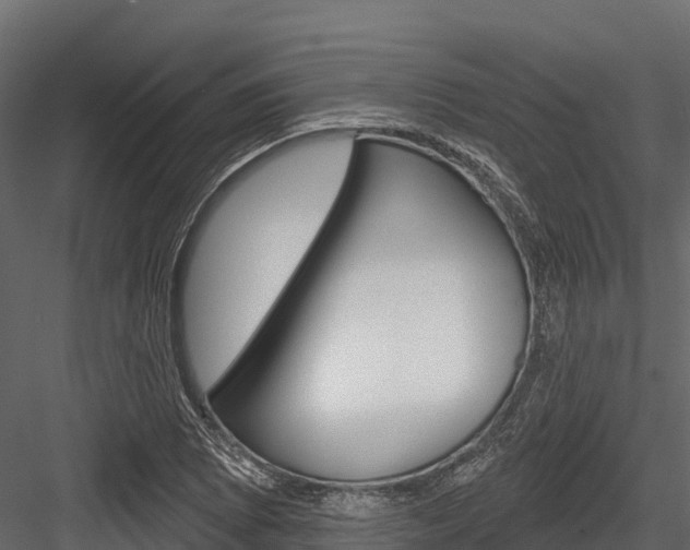 X0000084561073200702230955