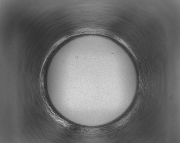 X0000084561074200702230955
