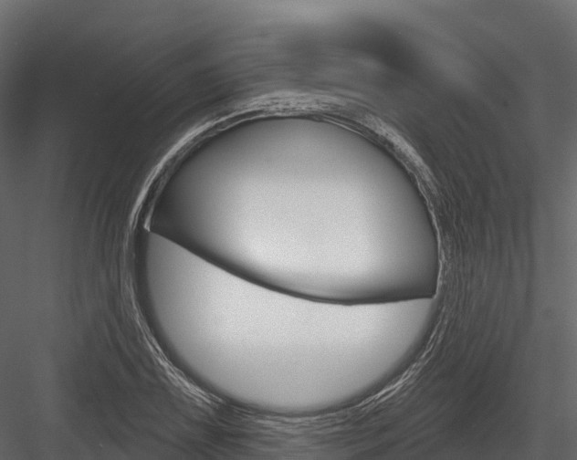 X0000084561075200702230955