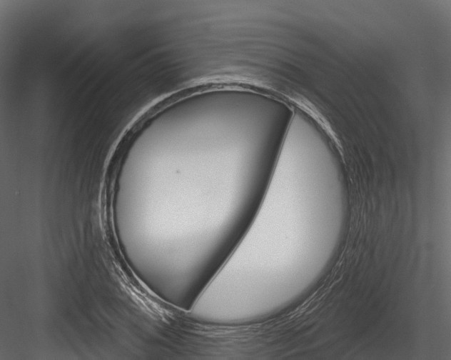 X0000084561076200702230955