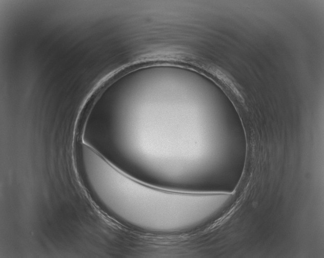 X0000084561077200702230955