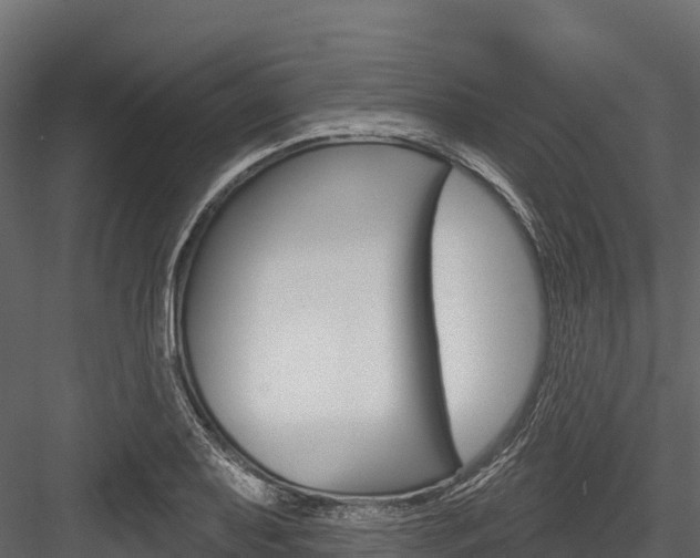 X0000084561079200702230955