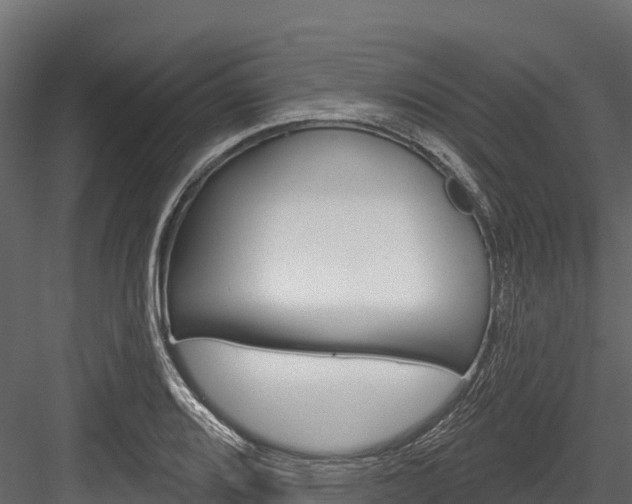 X0000084561080200702230955