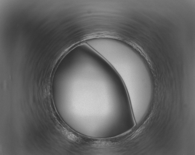 X0000084561081200702230955