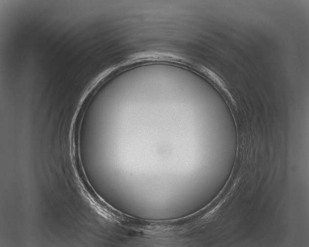 X0000084561082200702230955