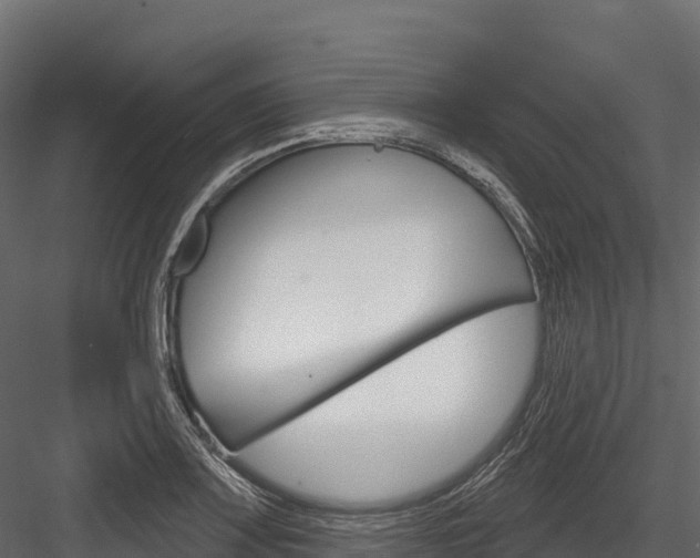 X0000084561083200702230955