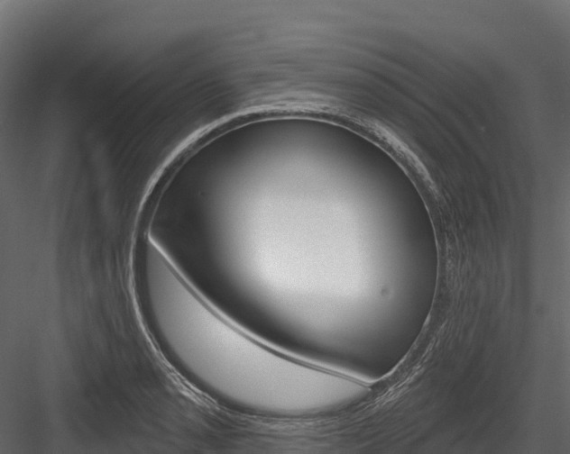 X0000084561085200702230955
