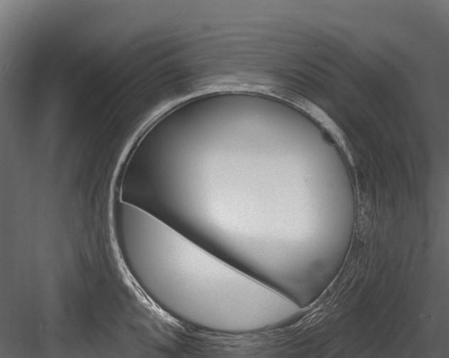 X0000084561096200702230955