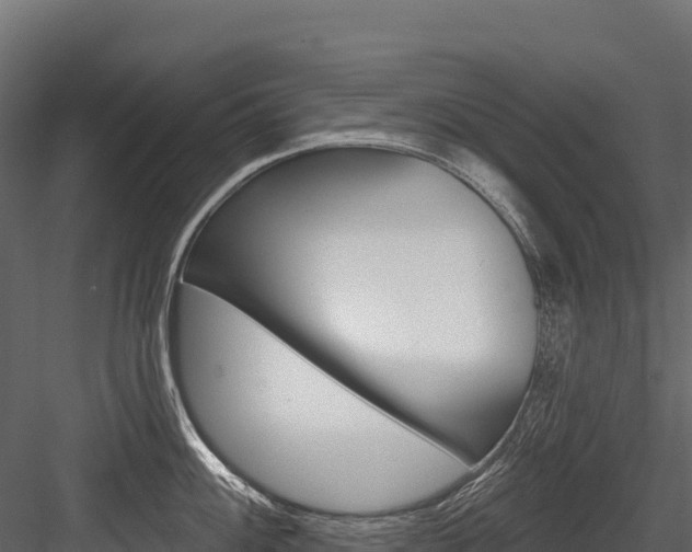 X0000084561100200702230955