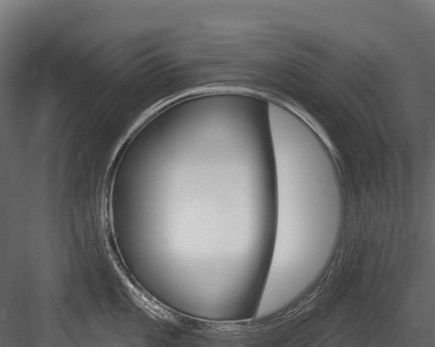 X0000084561101200702230955