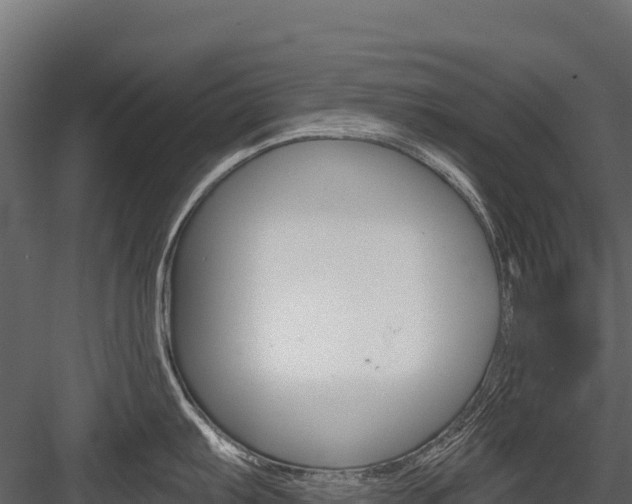 X0000084561103200702230955