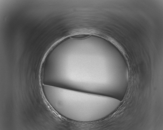 X0000084561104200702230955