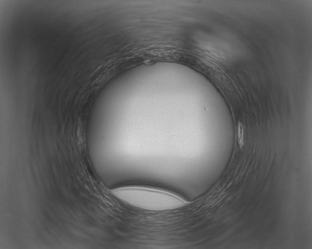 X0000084561107200702230954