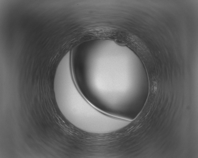 X0000084561108200702230954