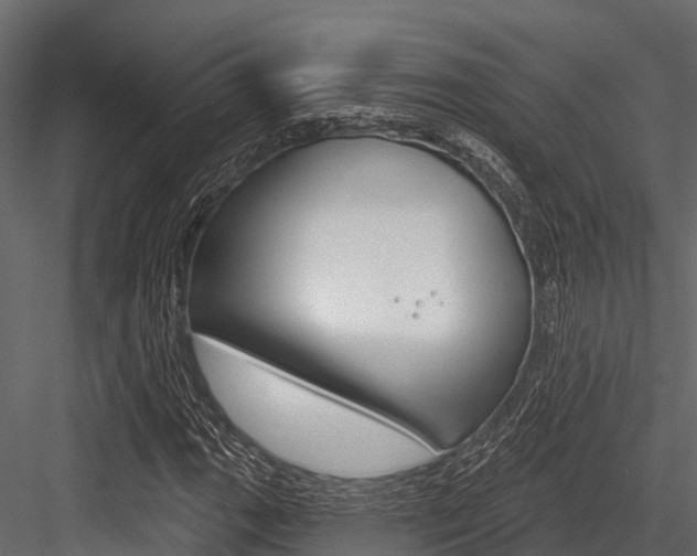 X0000084561111200702230954
