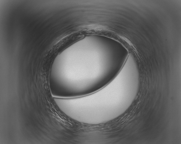 X0000084561112200702230954