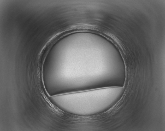 X0000084561115200702230954