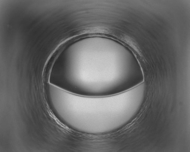 X0000084561116200702230954