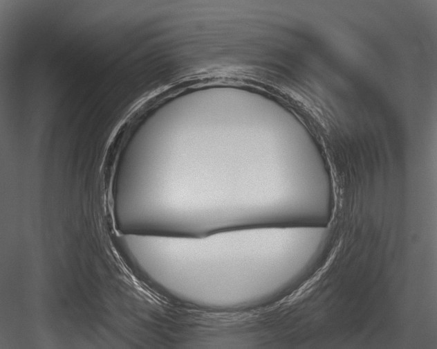 X0000084561117200702230954