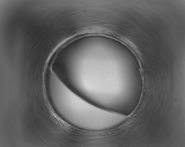X0000084561120200702230954