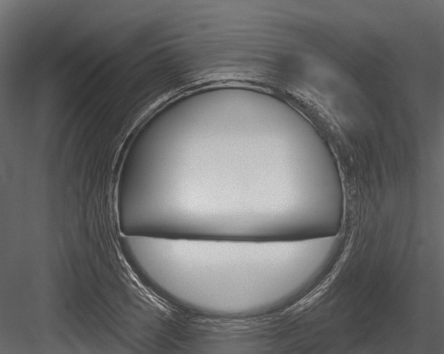 X0000084561121200702230954