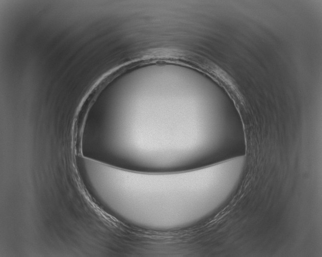 X0000084561124200702230954