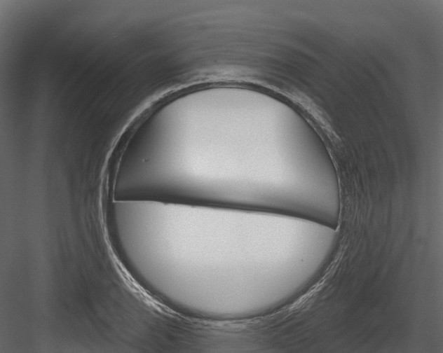 X0000084561126200702230954