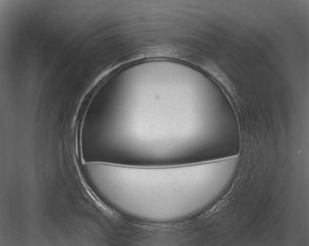 X0000084561127200702230954