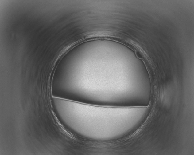 X0000084561129200702230954