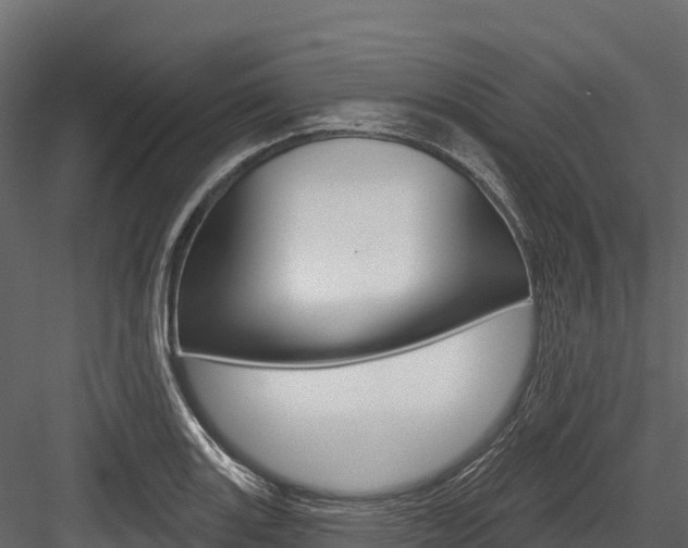 X0000084561131200702230954