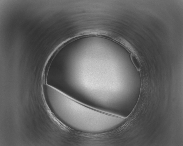 X0000084561132200702230954