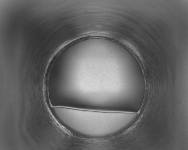 X0000084561133200702230954
