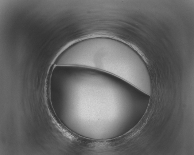 X0000084561134200702230954